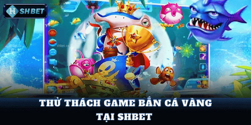 Thử Thách Game Bắn Cá Vàng Tại SHBet