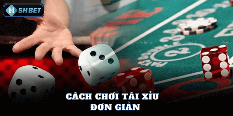 Hướng Dẫn Đặt Cược Tài Xỉu Tại SHBet