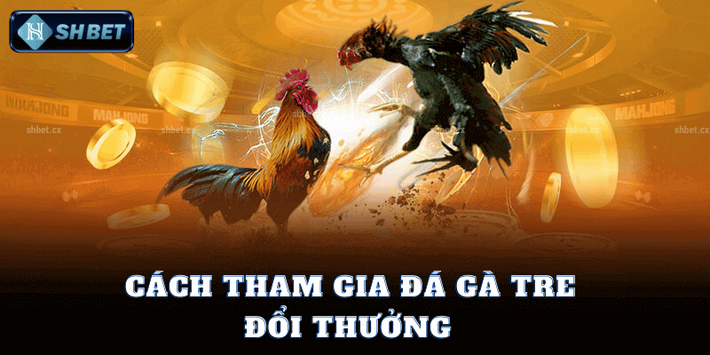 Cách Tham Gia Đá Gà Tre Đổi Thưởng