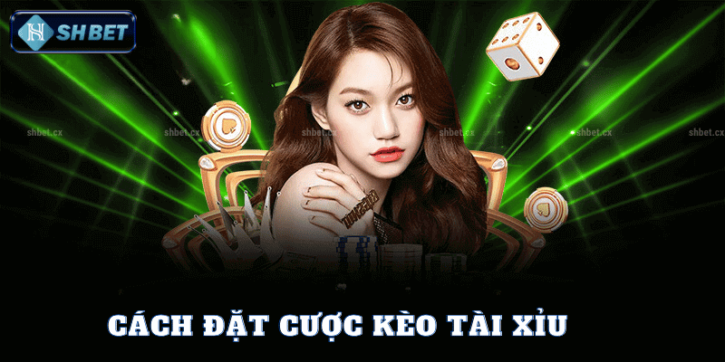 Cách Đặt Cược Kèo Tài Xỉu