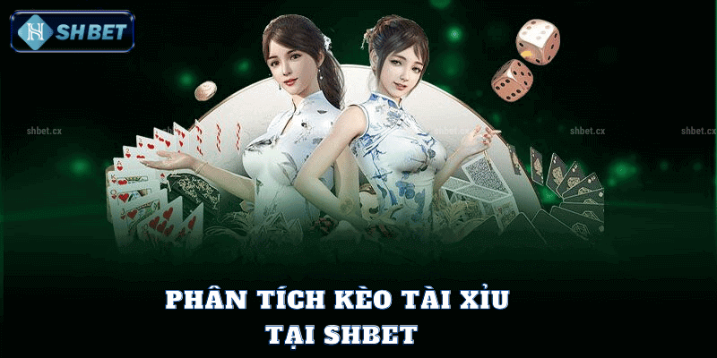 Phân Tích Kèo Tài Xỉu Tại SHBet