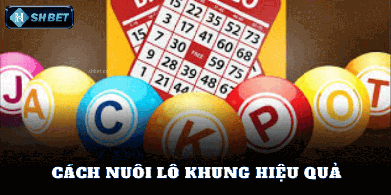 Cách Nuôi Lô Khung Hiệu Quả